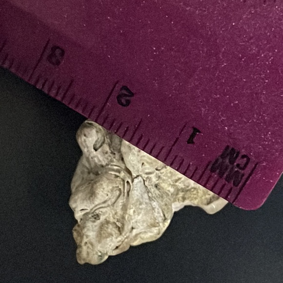 Calcified Sea Shell Interesting Fossil Specimen (Unknown Origin) - Picture 10 of 11